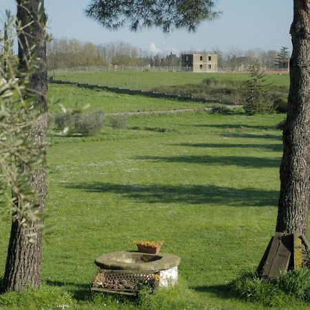 Bed and Breakfast Il Casale Di Gardenia à Cesano Extérieur photo