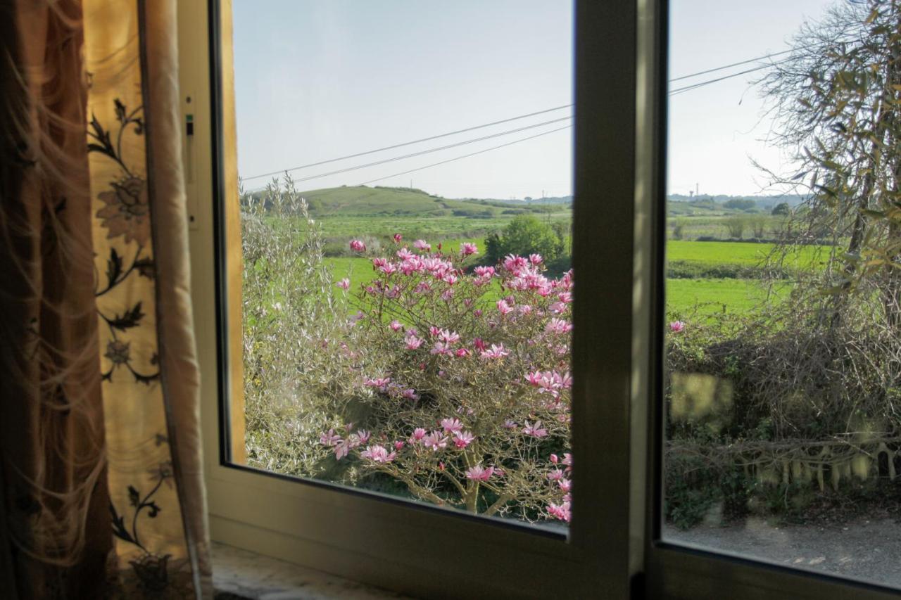 Bed and Breakfast Il Casale Di Gardenia à Cesano Extérieur photo